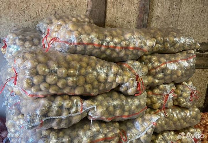 Картофель оптом