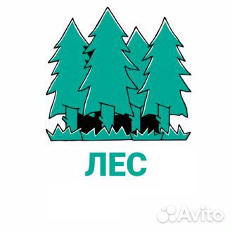 Менеджер отдела продаж