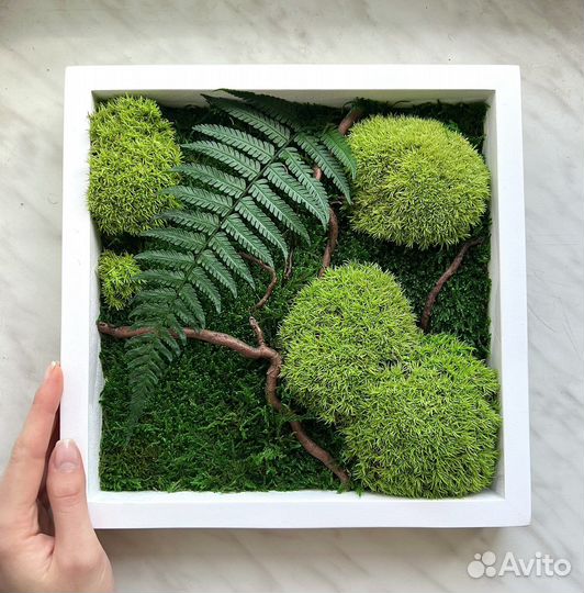 Панно из стабилизированного мха