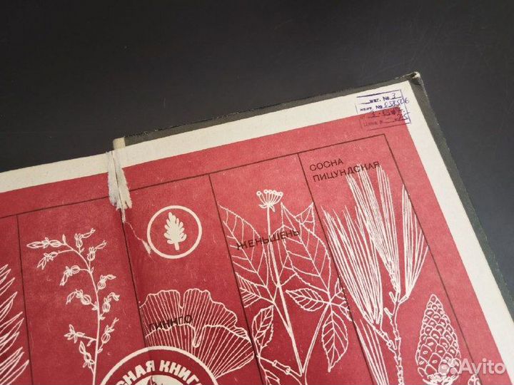 Д. И. Трайтак. Книга для чтения по ботанике