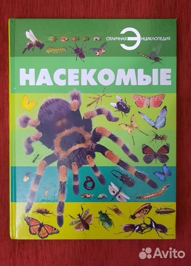 Энциклопедия насекомые