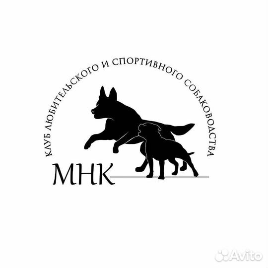 Документы РКФ