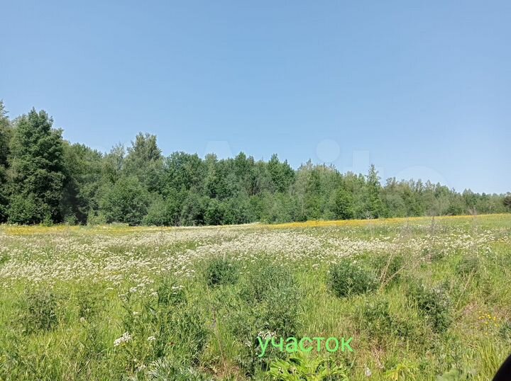 Участок 2 га (СНТ, ДНП)