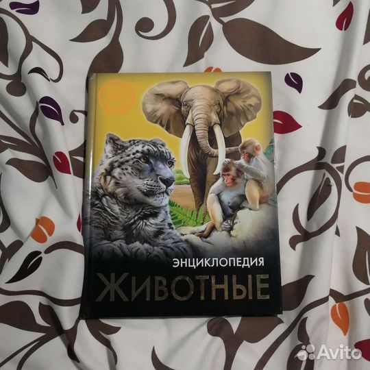Современные детские энциклопедии 