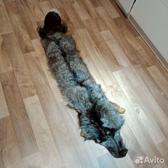 Шкура чернобурой лисы