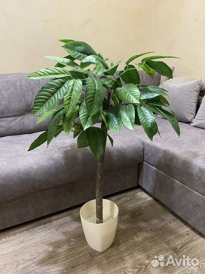 Искусственное дерево Манго