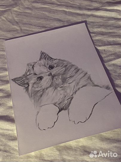 Рисунок котика