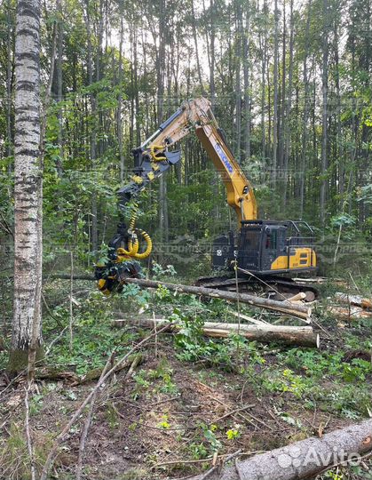 Харвестер xcmg XE245F в лесной защите