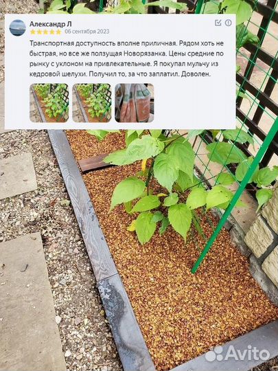 Скорлупа кедрового ореха в мешках (60 литров)