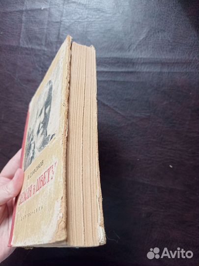 Земля в цвету детгиз 1949 В.Сафонов П3