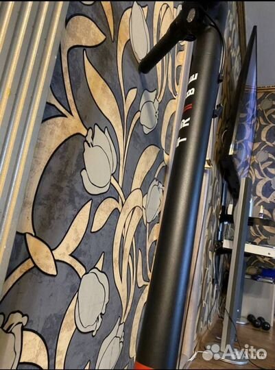 Электросамокат tribe himba