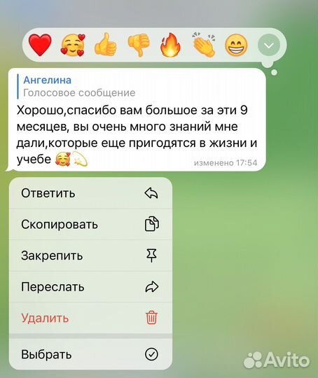Репетитор по истории и обществознанию
