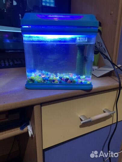 Аквариум с рыбками