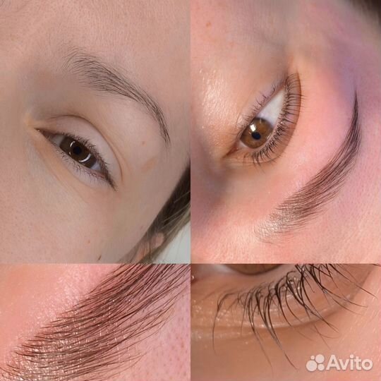Курс TOP brow master