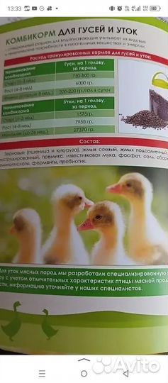 Корма магазин для животных