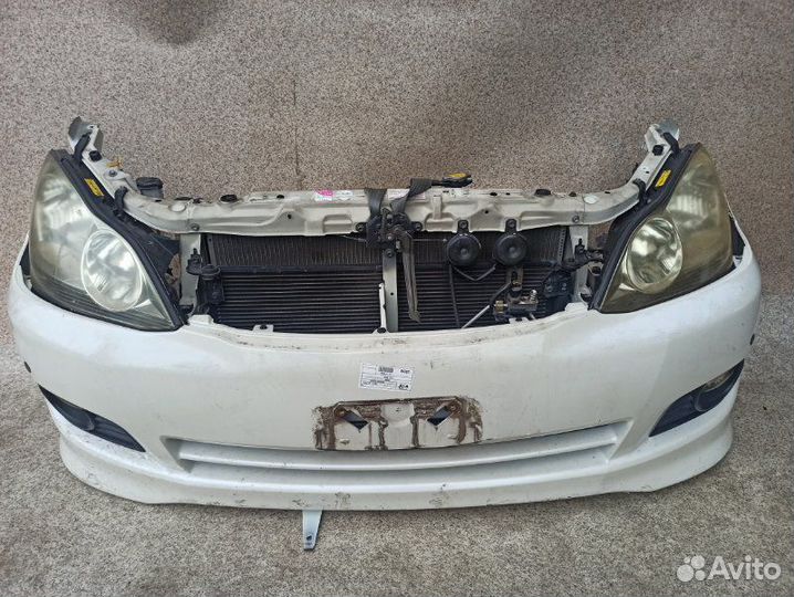 Ноускат toyota ipsum под заказ