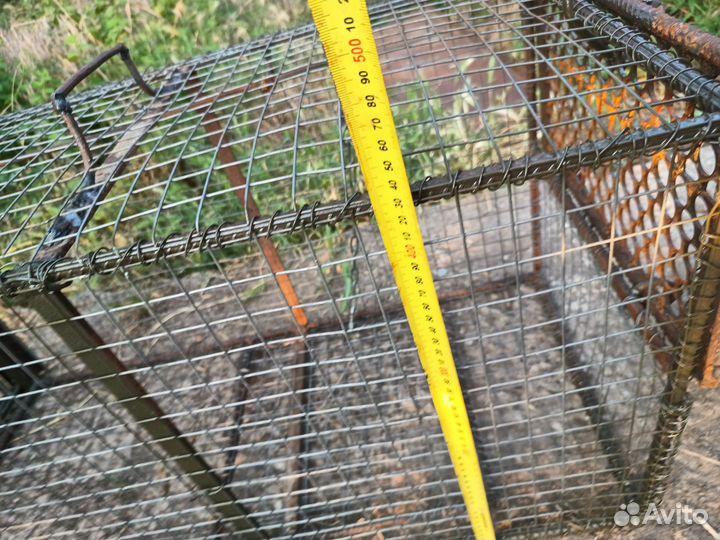 Аренда живоловушки