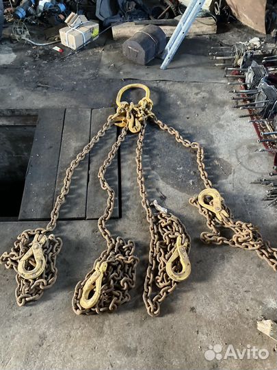 Цепной паук, длина 5 метров