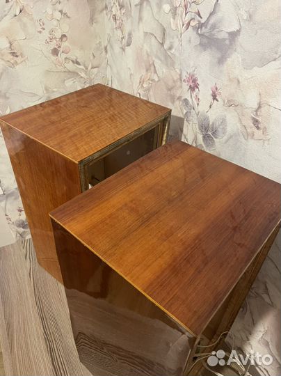 Колонки вега 25ас 109