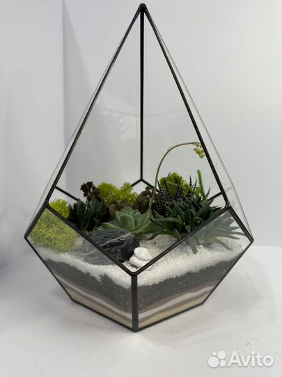 Флорариум в геометрической форме (капля)