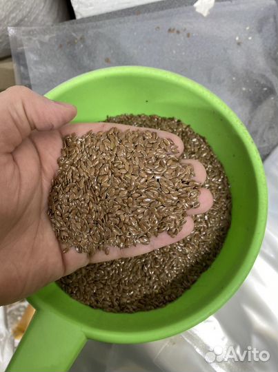 Семена льна оптом