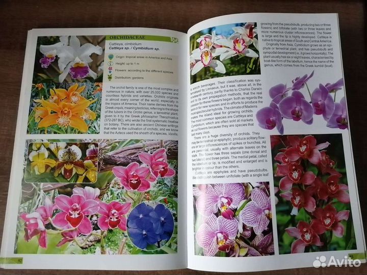 Flora of Madeira (Флора Мадейры), на англ. яз