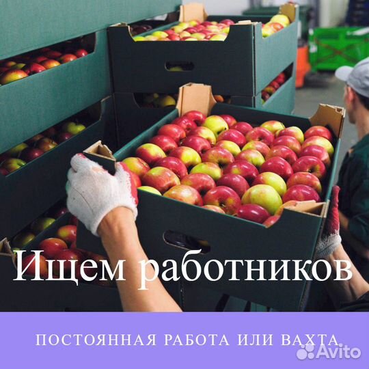 Комплектовщик