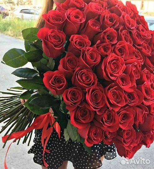Метровые розы Доставка цветов