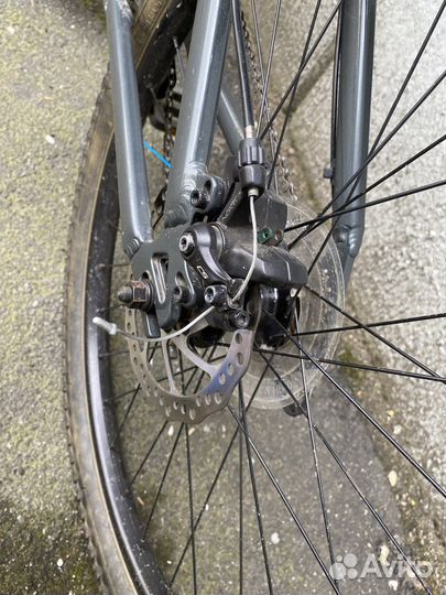 Mangoose fireball 26