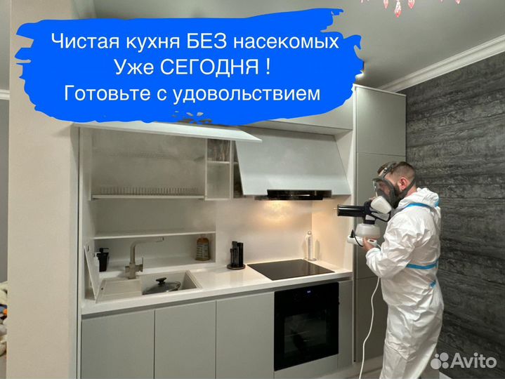 Заголовок: Уничтожение тараканов, клопов, клещей