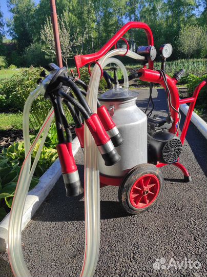 Аппарат для дойки коров