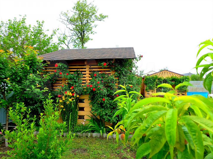 Дом 24 м² на участке 10 сот.