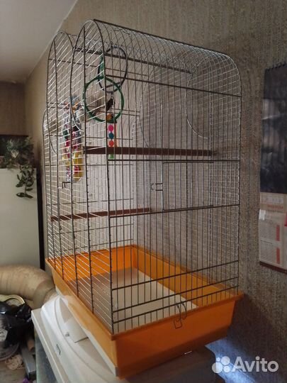 Клетки для птиц новые и б/у