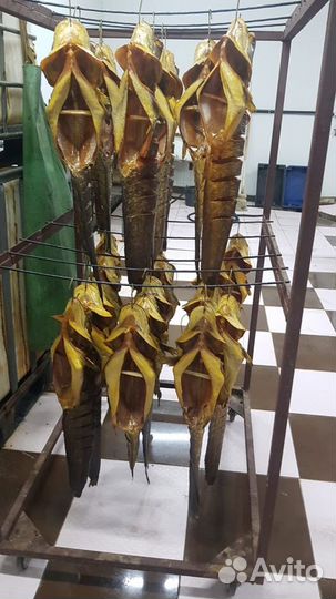 Рыба холодного копчения