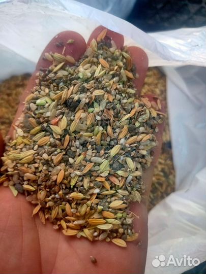 Продам зерновые отходы