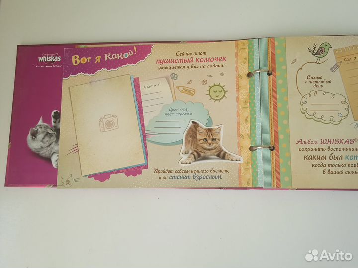 Альбом для твоего котенка