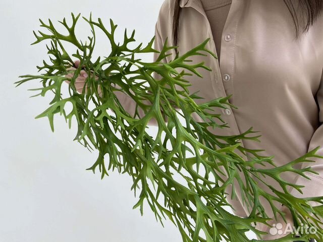 Растения искусственные ампельные свисающие