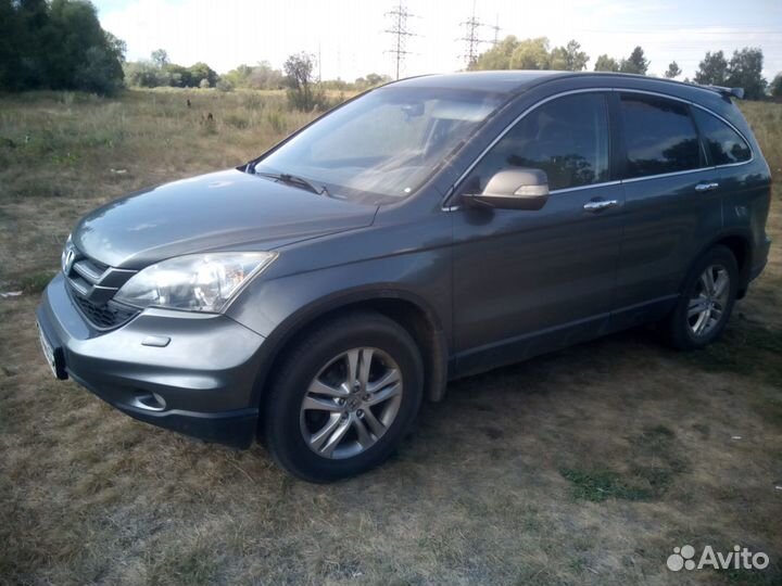 Зоотакси - перевозка животных