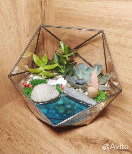Флорариум в подарок на 8 марта