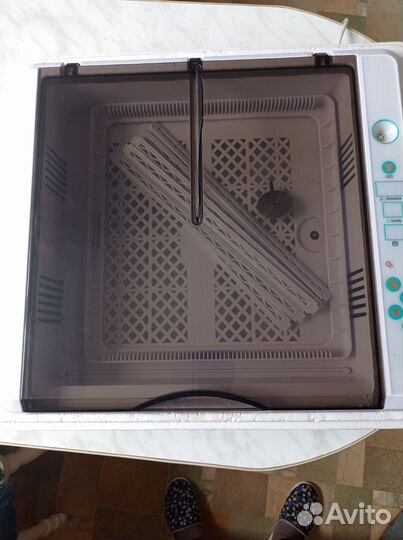 Инкубатор для яиц автоматический бу