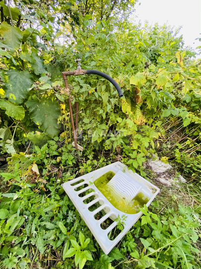 Дом 36,4 м² на участке 33 сот.