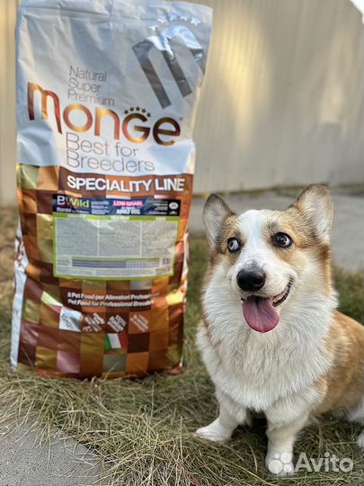 Сухой корм Монж #кабан#курица#утка#гусь#кролик#