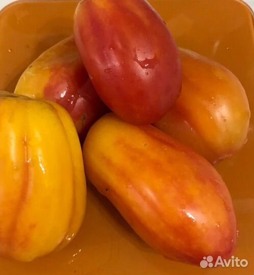 Семена коллекц томатов Тюльпаны