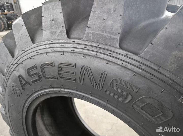 16.9-24 (440/80-24) 14PR BHB314 ascenso Индия