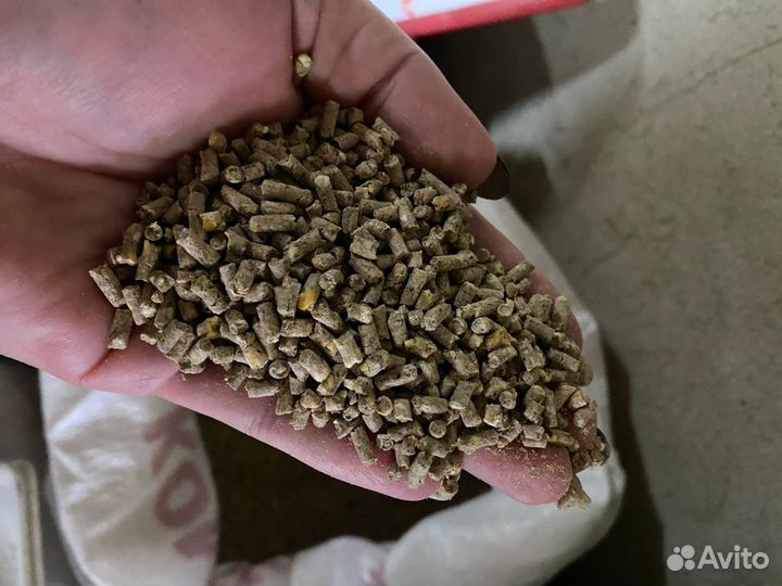 Комбикорм Премиум для молодняка с/х птицы