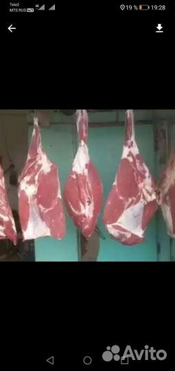 Мясо говядина халяль