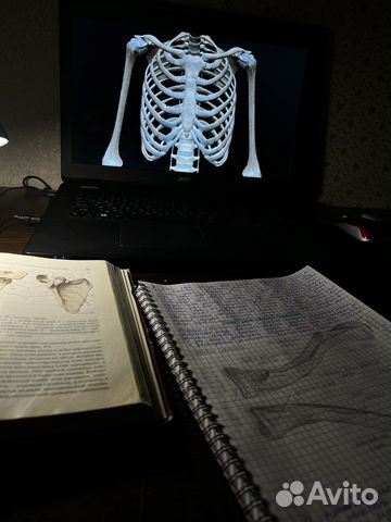 Репетитор по биологии