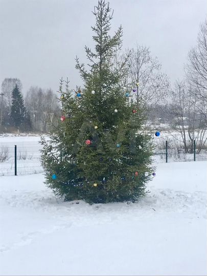 Дом 77 м² на участке 19 сот.