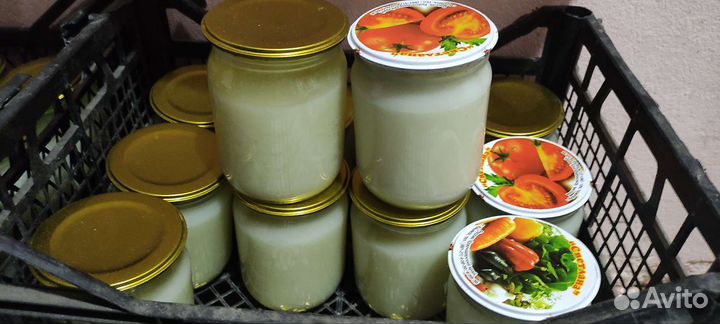 Барсучий жир