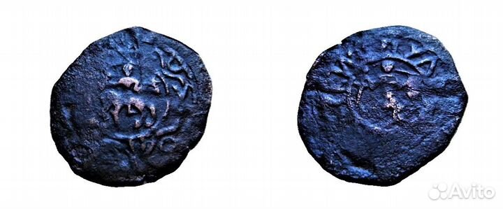 Чешуя Удельные монеты Княжества Тмутаракань